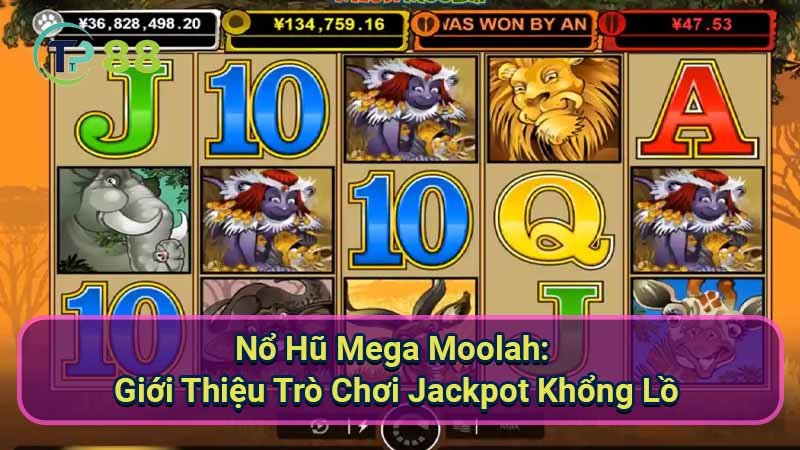 Nổ Hũ Mega Moolah: Jackpot Khổng Lồ Đang Chờ Bạn 2 no-hu-mega-moolah:-gioi-thieu-tro-choi-jackpot-khong-lo