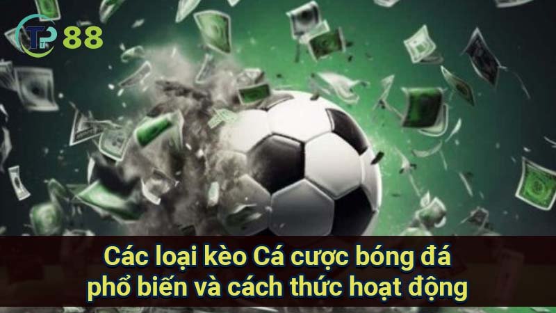 cac-loai-keo-ca-cuoc-bong-da-pho-bien-va-cach-thuc-hoat-dong