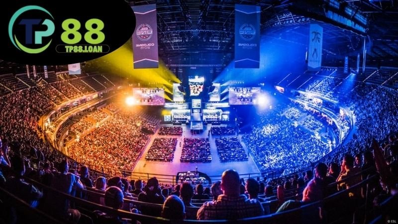 Giới thiệu cá cược Esports TP88