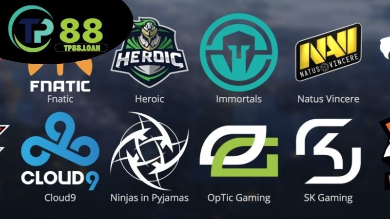 Các loại hình cược Esports phổ biến và cách tham gia tại TP88